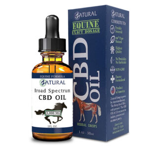 CBD Oil for Horses