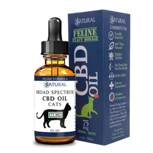 CBD Oil for Cats