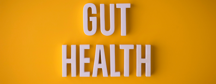 Immunotec Guide to Gut Health