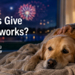 What Do Vets Give Dogs for Fireworks?