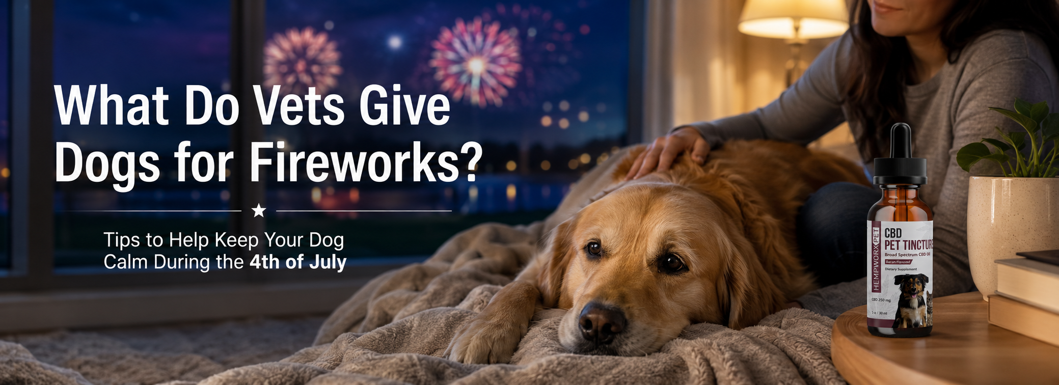 What Do Vets Give Dogs for Fireworks?