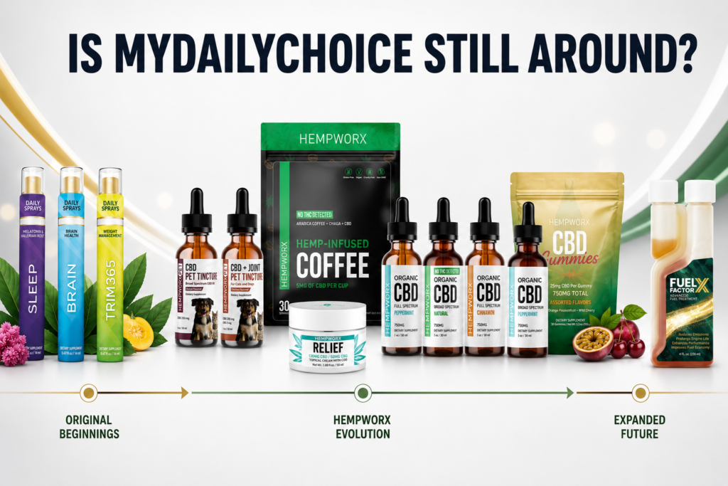 Is MyDailyChoice Still Around in 2026