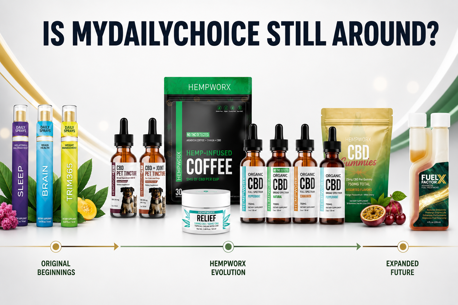 Is MyDailyChoice Still Around in 2026