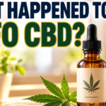What Happened to CTFO CBD